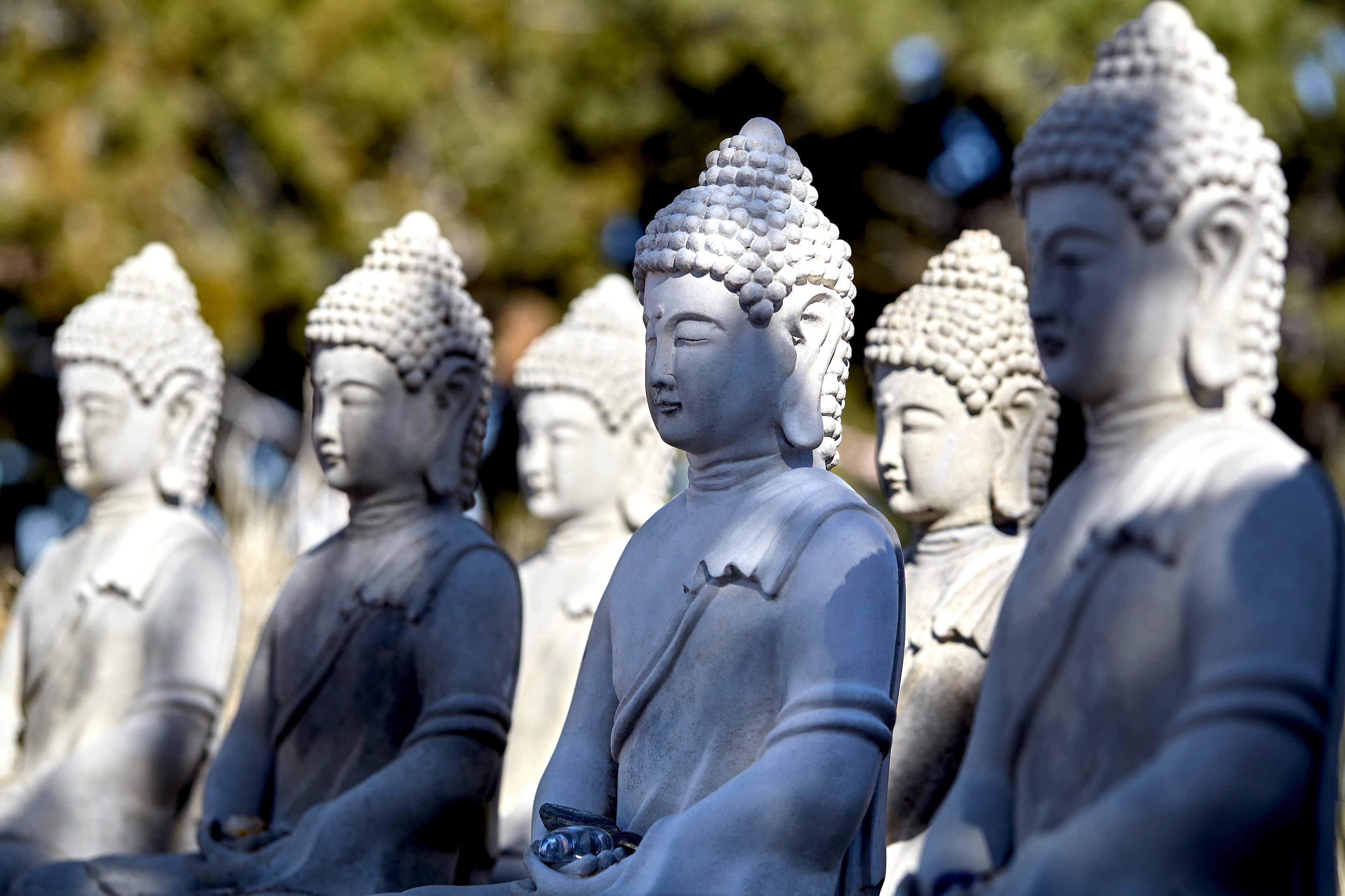 buddha in silent meditation mountain retreat